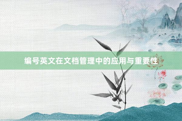 编号英文在文档管理中的应用与重要性